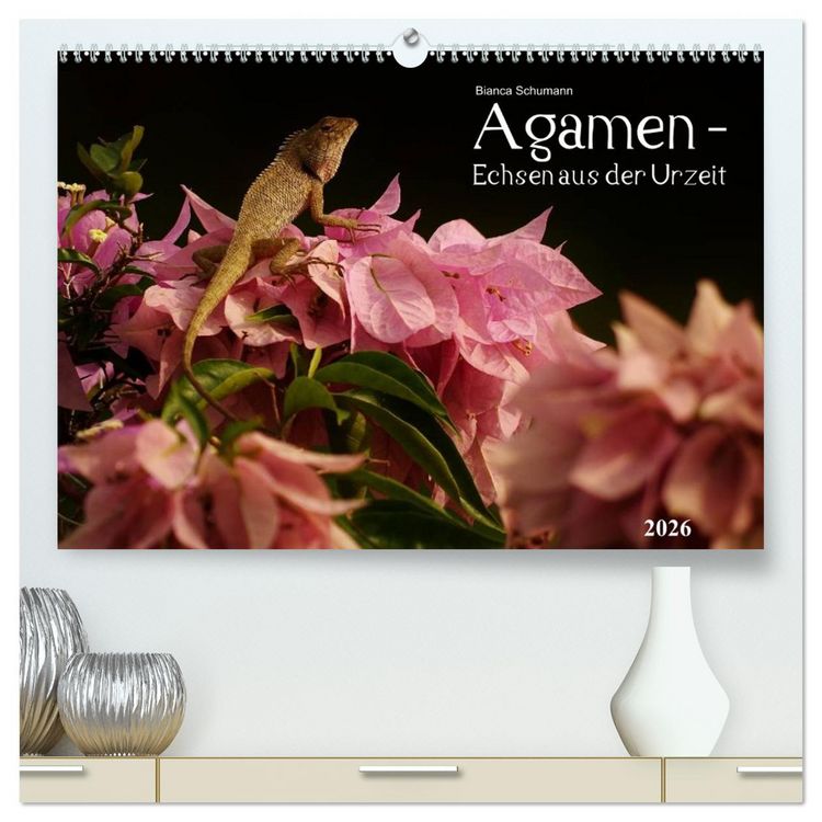 Produktbild: Agamen - Echsen aus der Urzeit (hochwertiger Premium Wandkalender 2026 DIN A2 quer), Kunstdruck in Hochglanz