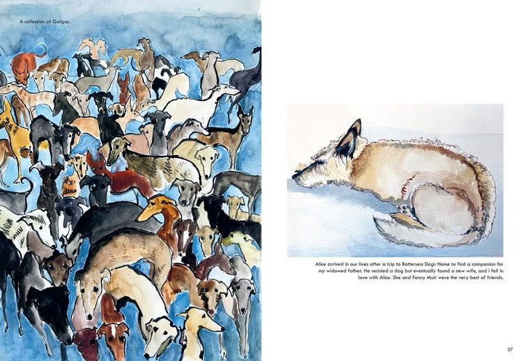 Produktbild: Rescue Dogs