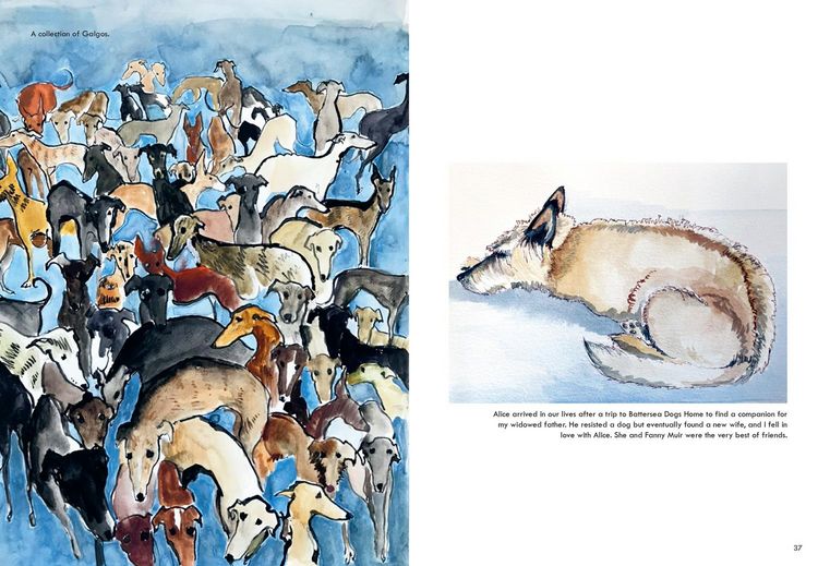 Produktbild: Rescue Dogs Hb