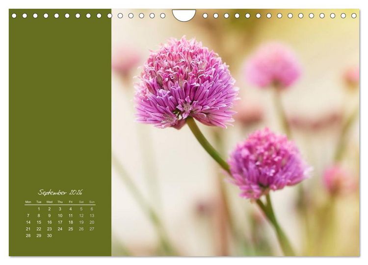 Produktbild: Vibrancy of flowers (Wall Calendar 2026 DIN A4 landscape), CALVENDO 12 Month Wall Calendar