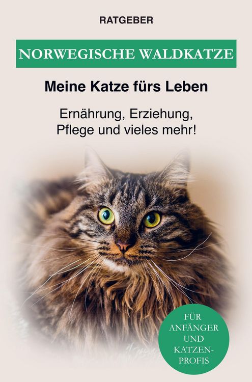 Produktbild: Norwegische Waldkatze