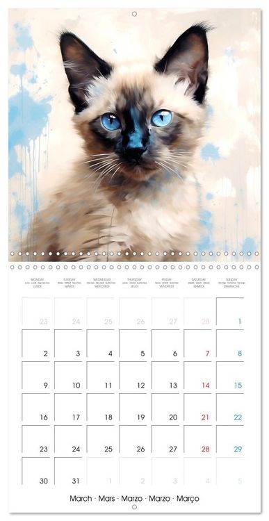 Produktbild: Illustrations Chatons (Calendrier mural carr&eacute; 2026 30x30 cm) Calendrier double avec une page pour vos prises de notes