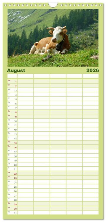 Produktbild: Familienplaner 2026 - Die Welt der K&uuml;he mit 5 Spalten (Wandkalender, 21 x 45 cm) CALVENDO