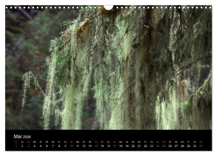 Produktbild: FASZINATION ALASKA Expedition durch die Inside Passage (Wandkalender 2026 DIN A3 quer), CALVENDO Monatskalender