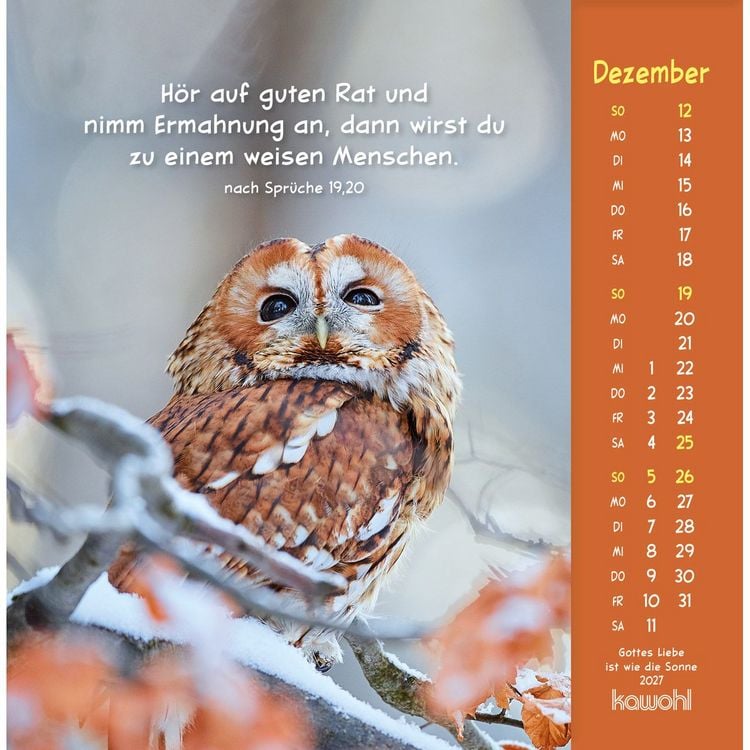 Produktbild: Gottes Liebe ist wie die Sonne 2027