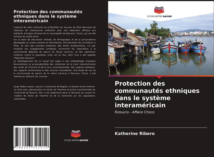 Produktbild: Protection des communaut&eacute;s ethniques dans le syst&egrave;me interam&eacute;ricain