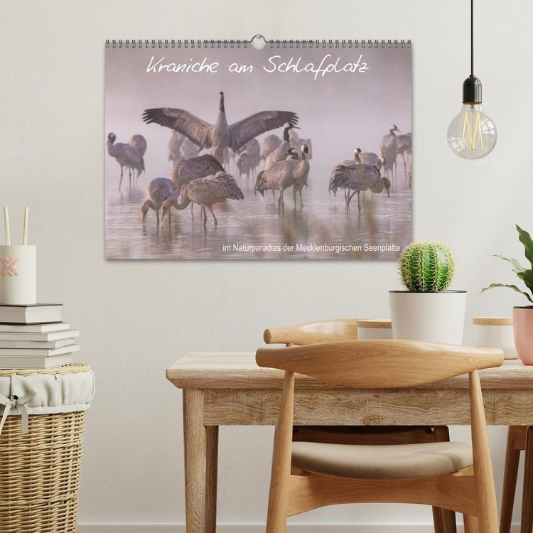 Produktbild: Kraniche am Schlafplatz - im Naturparadies der Mecklenburgischen Seenplatte (Wandkalender 2026 DIN A3 quer), CALVENDO Monatskalender