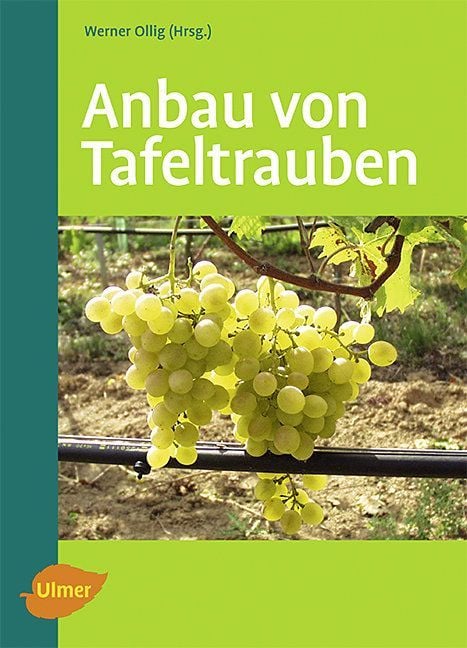 Produktbild: Anbau von Tafeltrauben