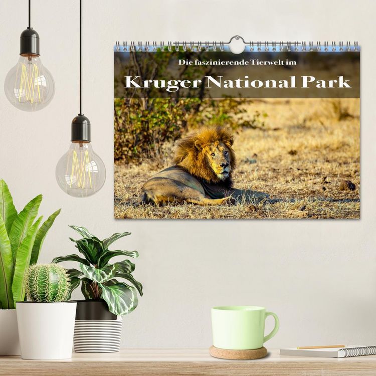 Produktbild: Faszinierende Tierwelt des Kruger National Parks (Wandkalender 2026 DIN A4 quer), CALVENDO Monatskalender