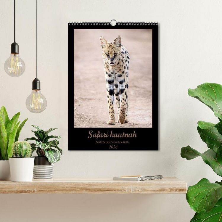 Produktbild: Safari hautnah - S&uuml;dliches und &ouml;stliches Afrika (Wandkalender 2026 DIN A3 hoch), CALVENDO Monatskalender