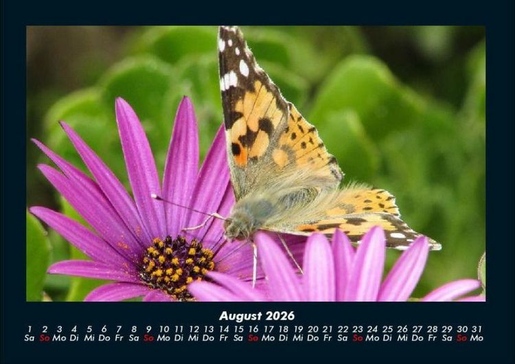 Produktbild: Blumentr&auml;ume 2026 Fotokalender DIN A4