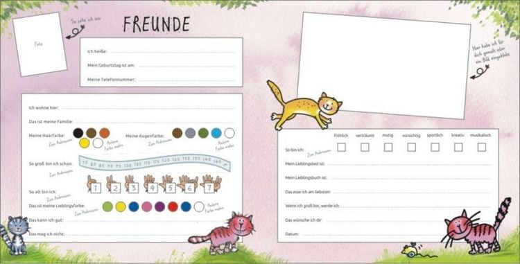 Produktbild: Mein Kindergarten Freunde-Album &ndash; Mit Goldfolienpr&auml;gung auf dem Umschlag!