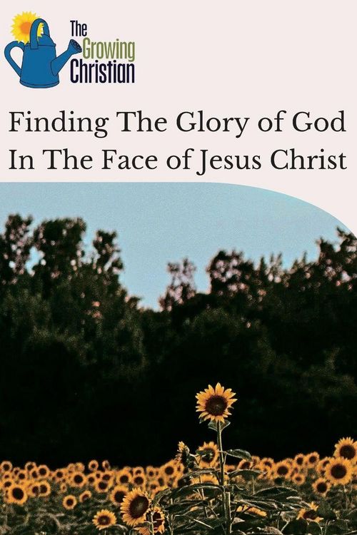 Produktbild: Finding The Glory of God In The Face of Jesus Christ