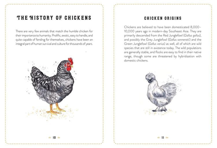 Produktbild: The Little Book of Chickens