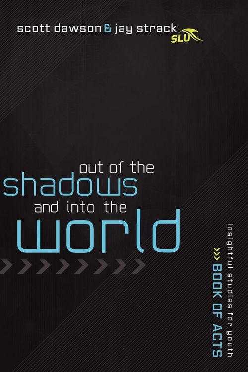 Produktbild: The Out of the Shadows and Into the World