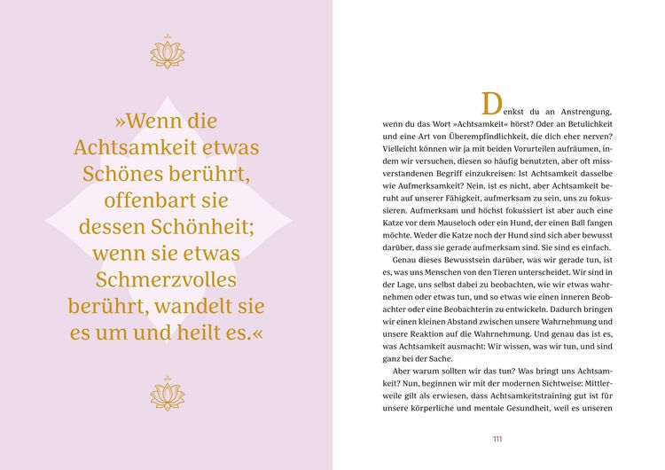 Produktbild: Buddhas Weisheit in 40 Spr&uuml;chen