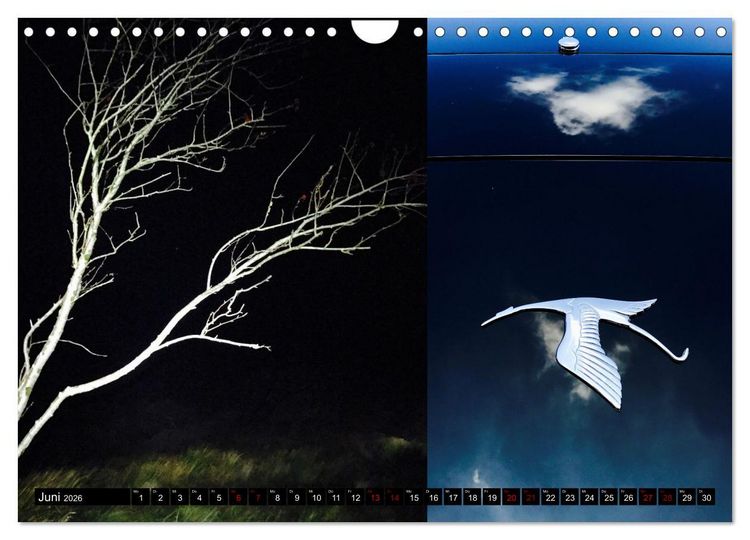 Produktbild: Applause To Life (Wandkalender 2026 DIN A4 quer), CALVENDO Monatskalender