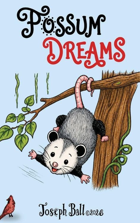 Produktbild: POSSUM DREAMS
