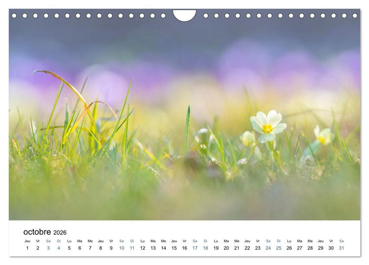 Produktbild: Fleurs po&eacute;tiques (Calendrier mural 2026 DIN A4 vertical), CALVENDO calendrier mensuel