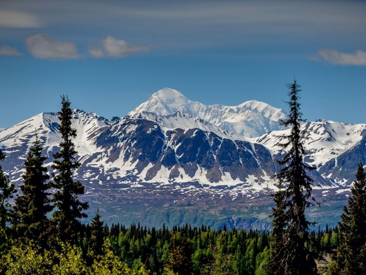 Produktbild: CALVENDO Puzzle Im Denali National Park ALASKA | 1000 Teile Lege-Gr&ouml;&szlig;e 64x48cm Foto-Puzzle f&uuml;r gl&uuml;ckliche Stunden