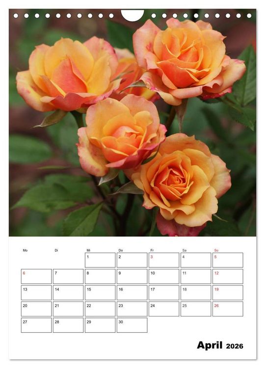 Produktbild: Zauberhafte Rosen (Wandkalender 2026 DIN A4 hoch), CALVENDO Monatskalender