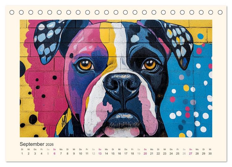 Produktbild: Bunte Boxer (Tischkalender 2026 DIN A5 quer), CALVENDO Monatskalender