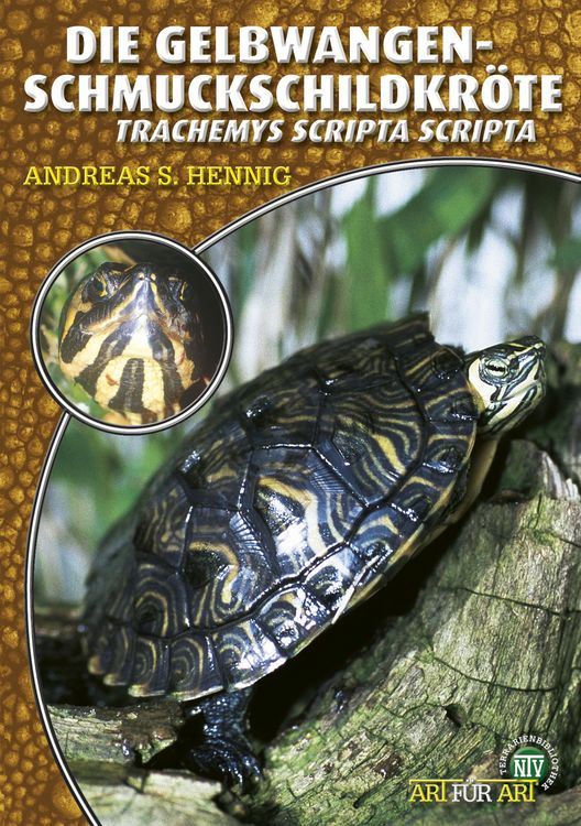 Produktbild: Die Gelbwangen-Schmuckschildkr&ouml;te
