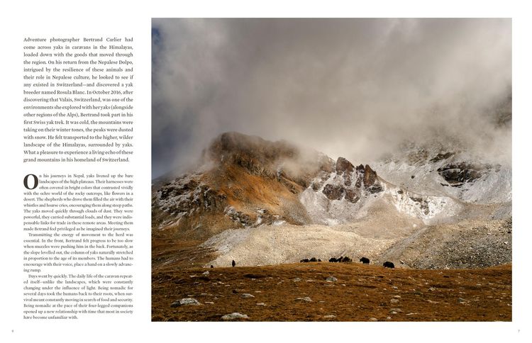 Produktbild: Call of the Mountains