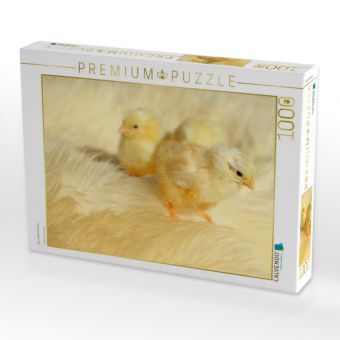 Produktbild: CALVENDO Puzzle Drei niedliche K&uuml;ken | 1000 Teile Lege-Gr&ouml;&szlig;e 64x48cm Foto-Puzzle f&uuml;r gl&uuml;ckliche Stunden