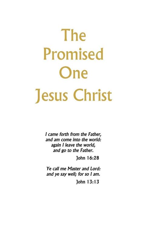 Produktbild: The Promised One