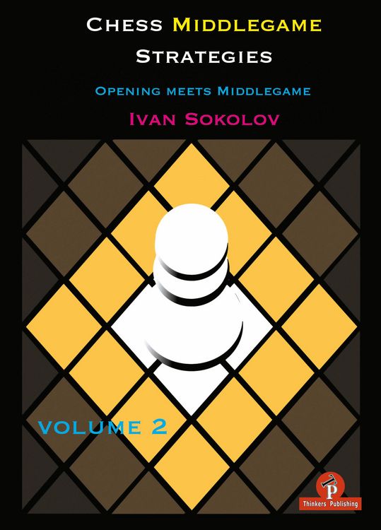 Produktbild: Chess Middlegame Strategies V0