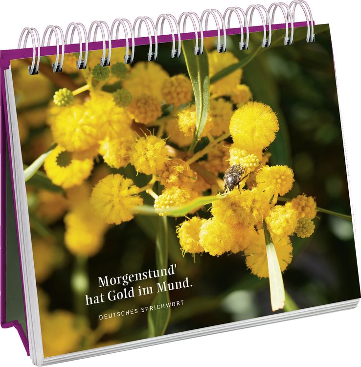 Produktbild: In 80 Blumen um die Welt