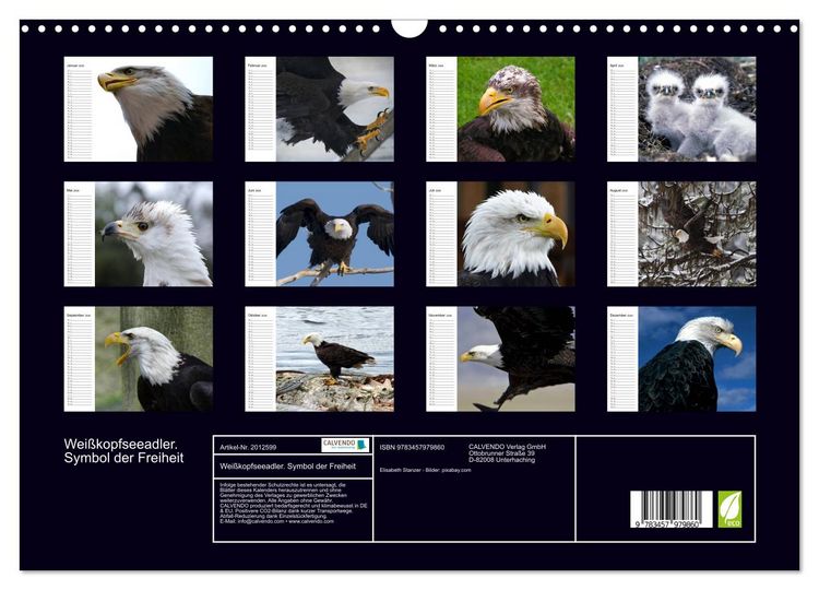 Produktbild: Wei&szlig;kopfseeadler. Symbol der Freiheit (Wandkalender 2026 DIN A3 quer), CALVENDO Monatskalender