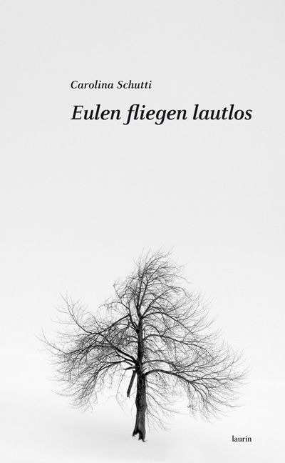 Produktbild: Eulen fliegen lautlos