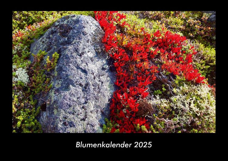 Produktbild: Blumenkalender 2025 Fotokalender DIN A3