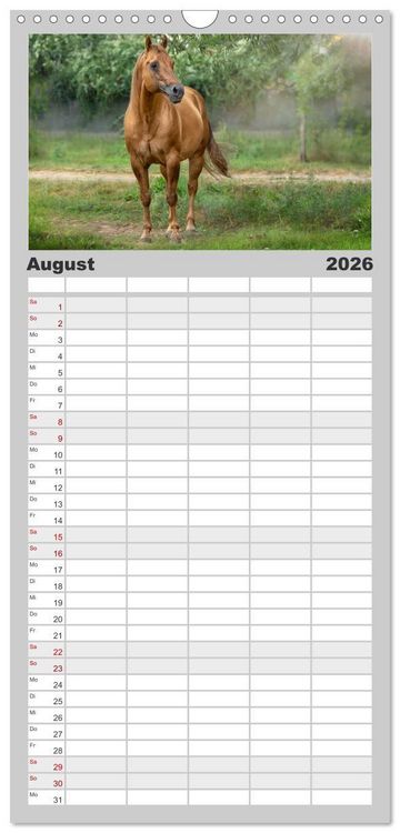 Produktbild: Familienplaner 2026 - Faszination Westernpferde mit 5 Spalten (Wandkalender, 21 x 45 cm) CALVENDO