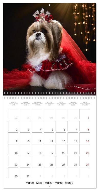 Produktbild: Grand Divas of the Dog World (Wall Calendar 2026 12 &times; 12 Inch) CALVENDO 12 Month Wall Calendar