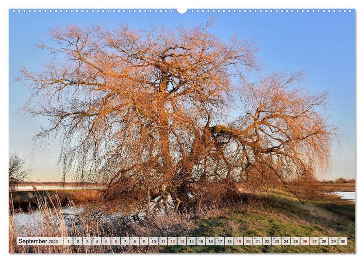 Produktbild: Hochwasser als Teil der Umwelt (hochwertiger Premium Wandkalender 2026 DIN A2 quer), Kunstdruck in Hochglanz