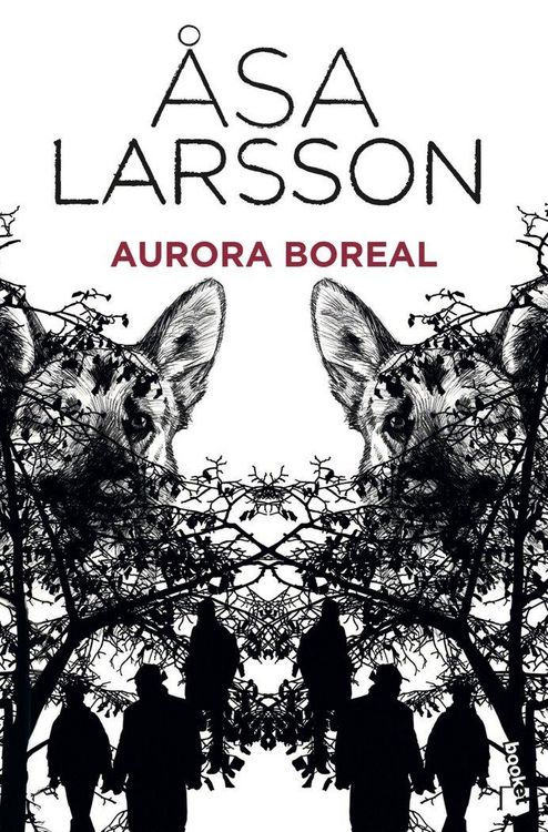Produktbild: Aurora boreal