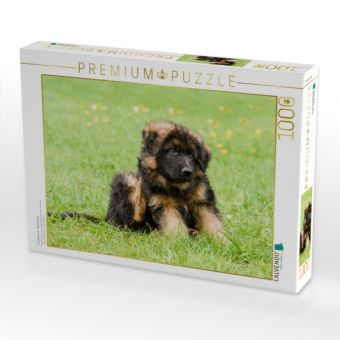 Produktbild: CALVENDO Puzzle Sch&auml;ferhund - Welpe R&uuml;de | 1000 Teile Lege-Gr&ouml;&szlig;e 64x48cm Foto-Puzzle f&uuml;r gl&uuml;ckliche Stunden