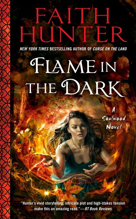 Produktbild: Flame in the Dark
