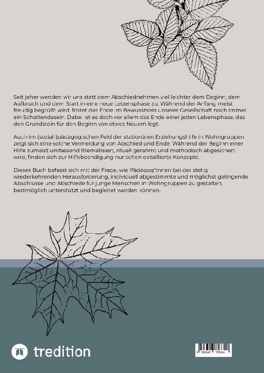 Produktbild: Abschluss und Abschied in den station&auml;ren Erziehungshilfen