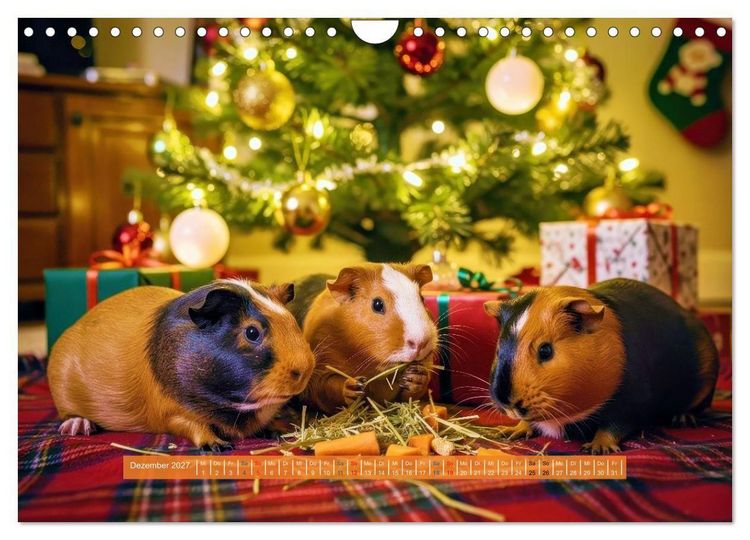 Produktbild: Kleine s&uuml;&szlig;e Meerschweinchen (Wandkalender 2027 DIN A4 quer), CALVENDO Monatskalender