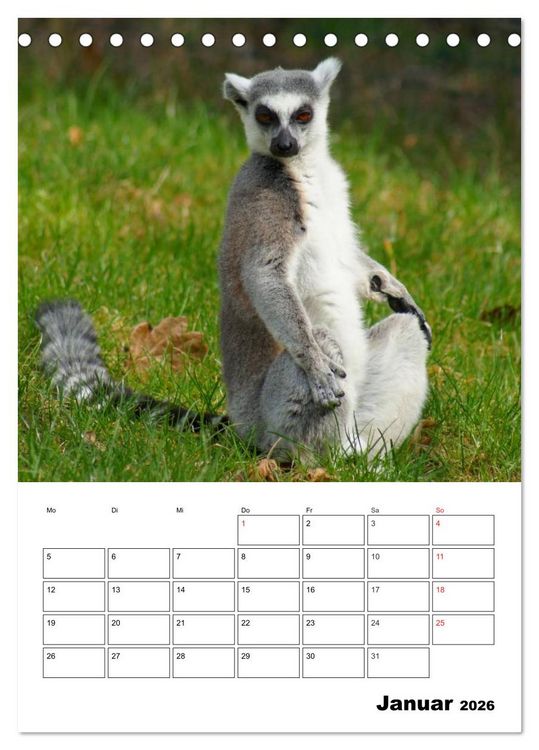 Produktbild: Katta Terminplaner (Tischkalender 2026 DIN A5 hoch), CALVENDO Monatskalender