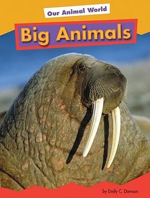 Produktbild: Big Animals