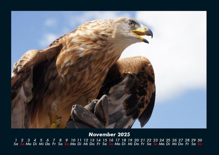 Produktbild: Adler 2025 Fotokalender DIN A4