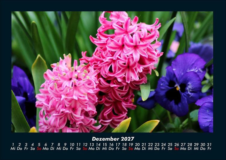 Produktbild: Blumenzauber 2027 Fotokalender DIN A4