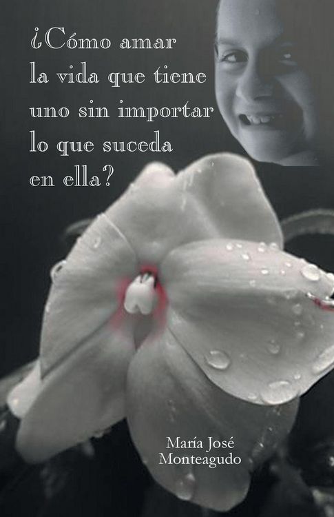 Produktbild: Como Amar La Vida Que Tiene Uno Sin Importar Lo Que Suceda En Ella?