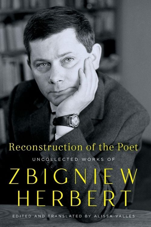 Produktbild: Reconstruction of the Poet