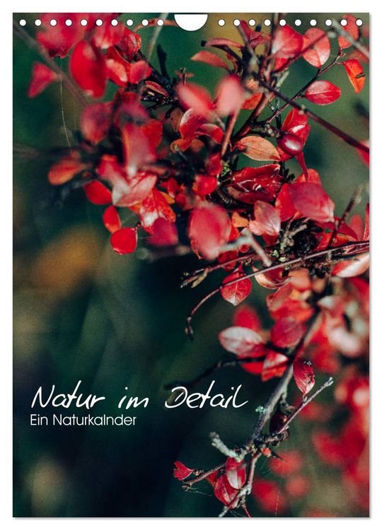 Produktbild: Kalender - Natur im Detail (Wandkalender 2026 DIN A4 hoch), CALVENDO Monatskalender